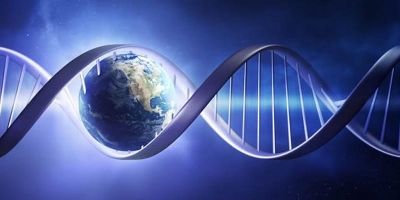 DNA کارآفرینانه‌ی خود را قبل از راه‌اندازی استارت‌آپ بشناسید